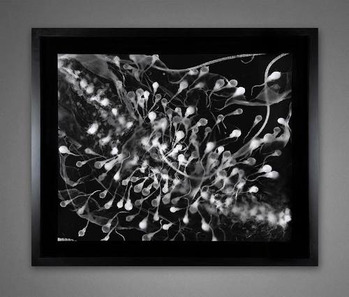 Untitled #10