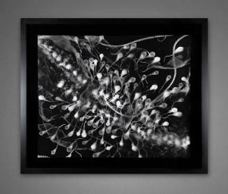 Untitled #10