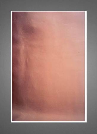Adobe Wall #42