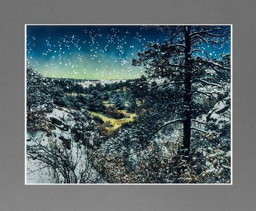 Contaminated Radioactive Sediment, Mortandad Canyon, Los Alamos National Laboratory, New Mexico