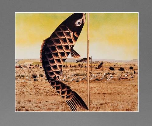 Japanese Children’s Day Carp Banners, Paguate Village, Jackpile Mine Uranium Tailings, Laguna Pueblo Reservation, New Mexico