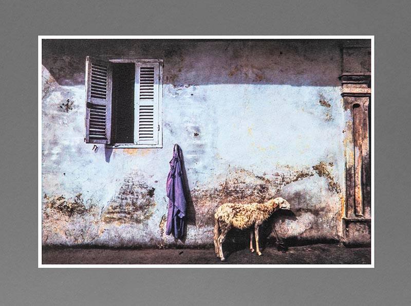 Bernard Plossu
