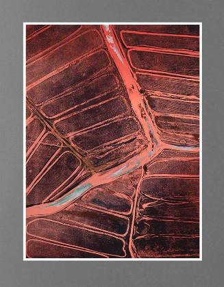 Monoprint #104