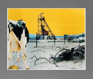 Cow Pie/Yellow Cake; Uranium Mine Homestake Mining Company, near Mt. Taylor Milan and Grants, New Mexico