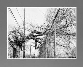 Rogers Street, Atlanta