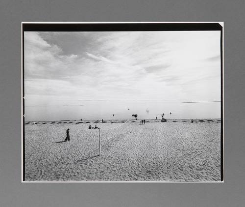 Cape Cod, Beach Scene with Volleyball Net