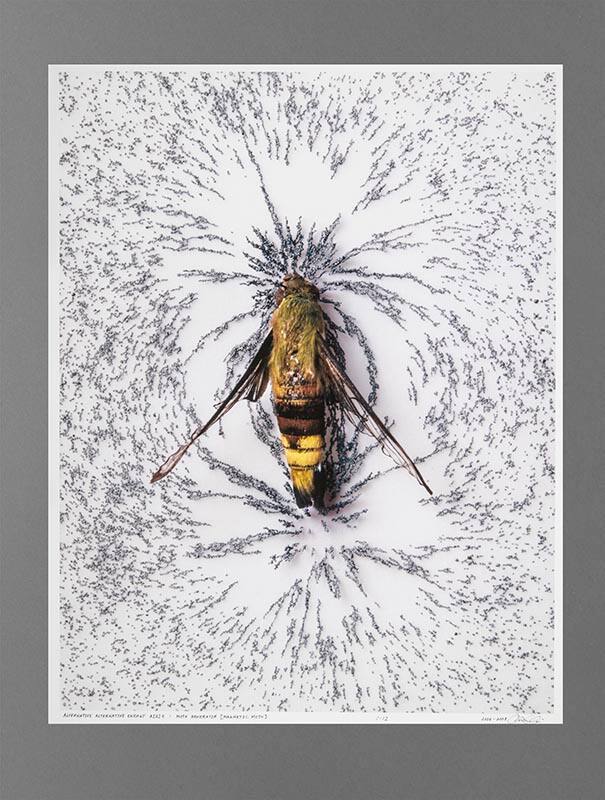 Alternative Alternative Energy A[2]E: Moth Generator [Magnetic Moth]