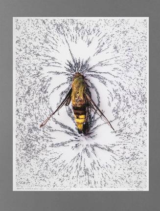Alternative Alternative Energy A[2]E: Moth Generator [Magnetic Moth]