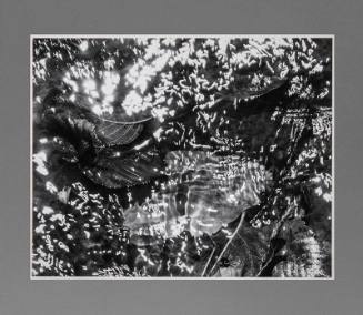 Leaves and White Static