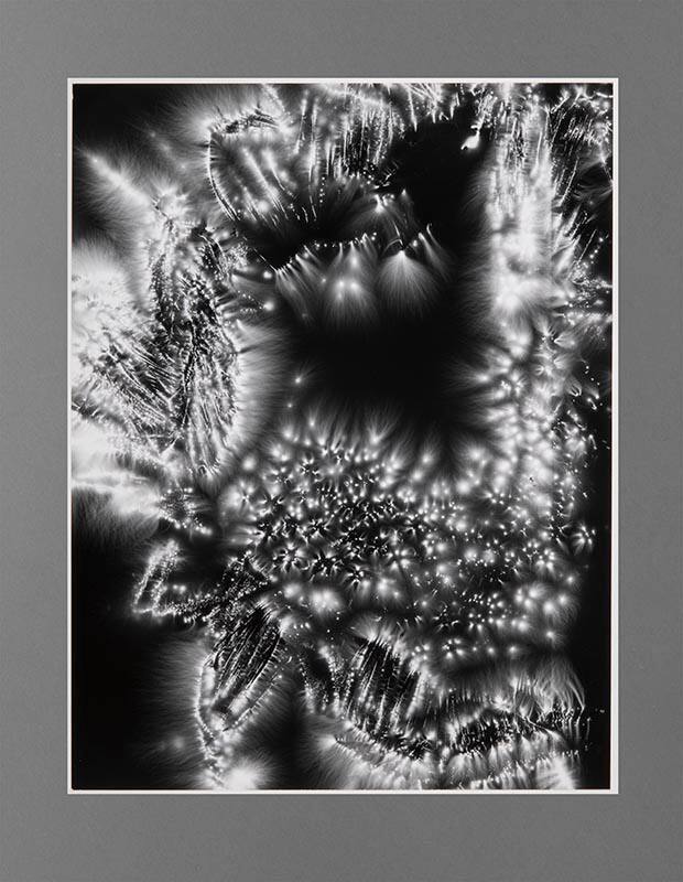 Metaflora