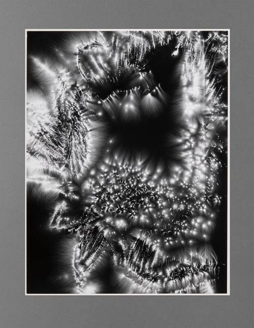 Metaflora