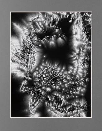 Metaflora
