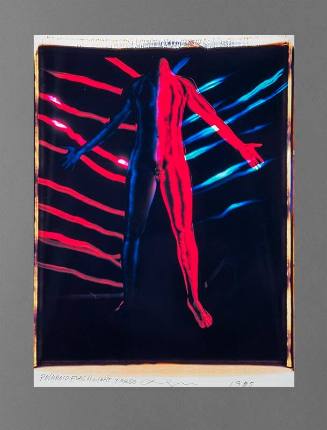 Polaroid Flashlight Torso