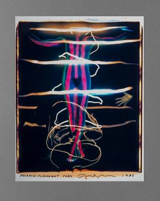 Polaroid Flashlight Torso
