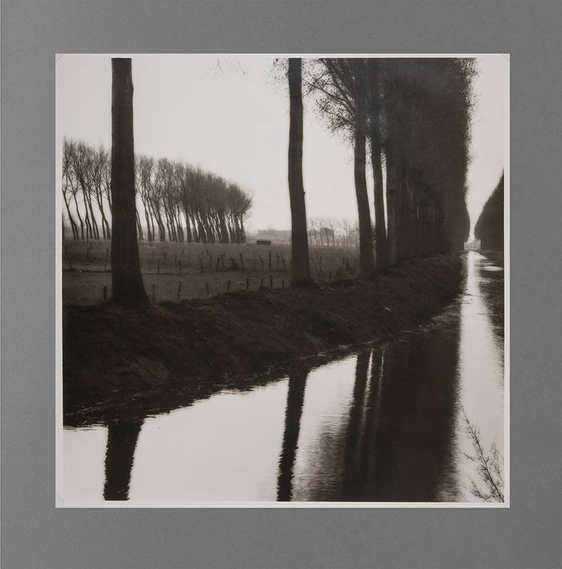 Lynn Geesaman