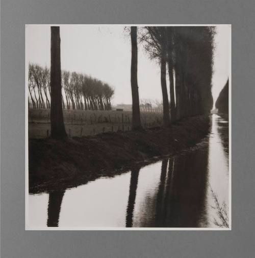 Lynn Geesaman