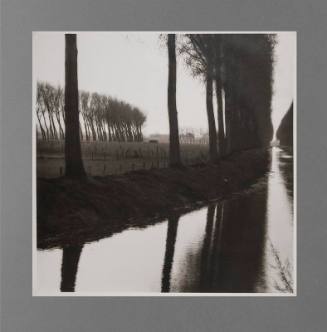 Lynn Geesaman