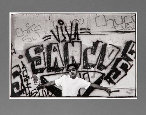 chloro-bromide prints (photographic prints)
