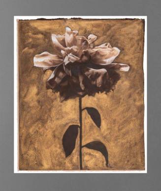 Dark Peony on Gold