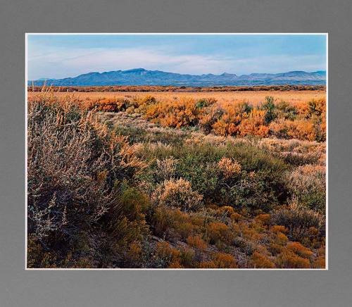 Camino Real and Bosque by the Rio Grande, San Pedro, New Mexico