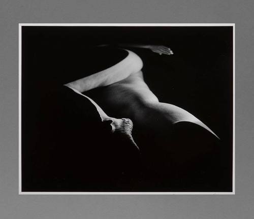 Untitled (Legs)