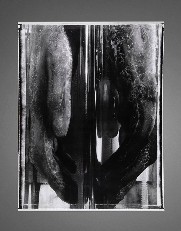 Two Hands, Rome--From the Series Natures Mortes