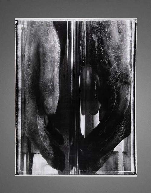 Two Hands, Rome--From the Series Natures Mortes