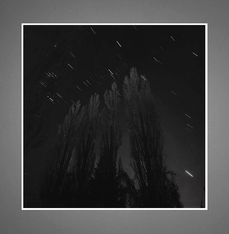 Rolf Koppel, Poplars with Venus (from Verklarte Nacht), 1979, gelatin silver print, 14 3/4 × 14…