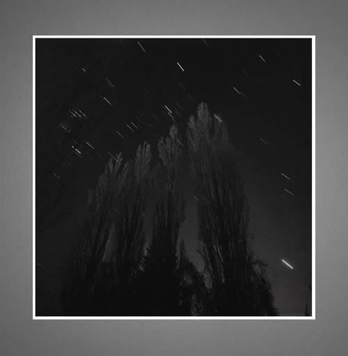 Rolf Koppel, Poplars with Venus (from Verklarte Nacht), 1979, gelatin silver print, 14 3/4 × 14…