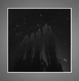 Rolf Koppel, Poplars with Venus (from Verklarte Nacht), 1979, gelatin silver print, 14 3/4 × 14…
