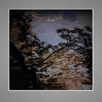 Pond at Shugakuin Palace, Kyoto, Japan