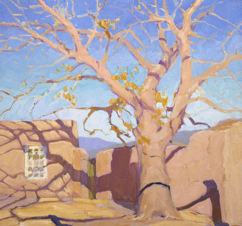 Untitled (Tree and Adobe House)