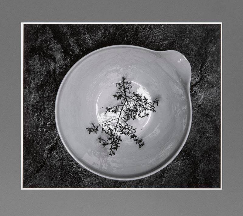 White Bowl