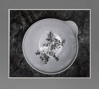 White Bowl