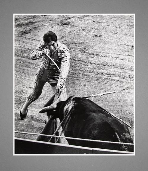 Max Alpert, Corrida, Barcelona, n.d., gelatin silver print, 19 1/2 × 17 1/8 in. Collection of t…