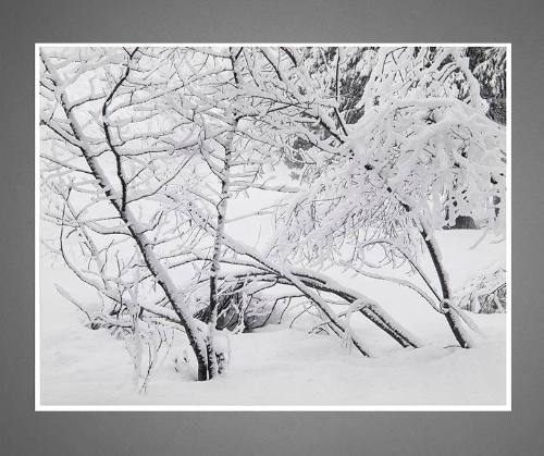 Winter - Yosemite