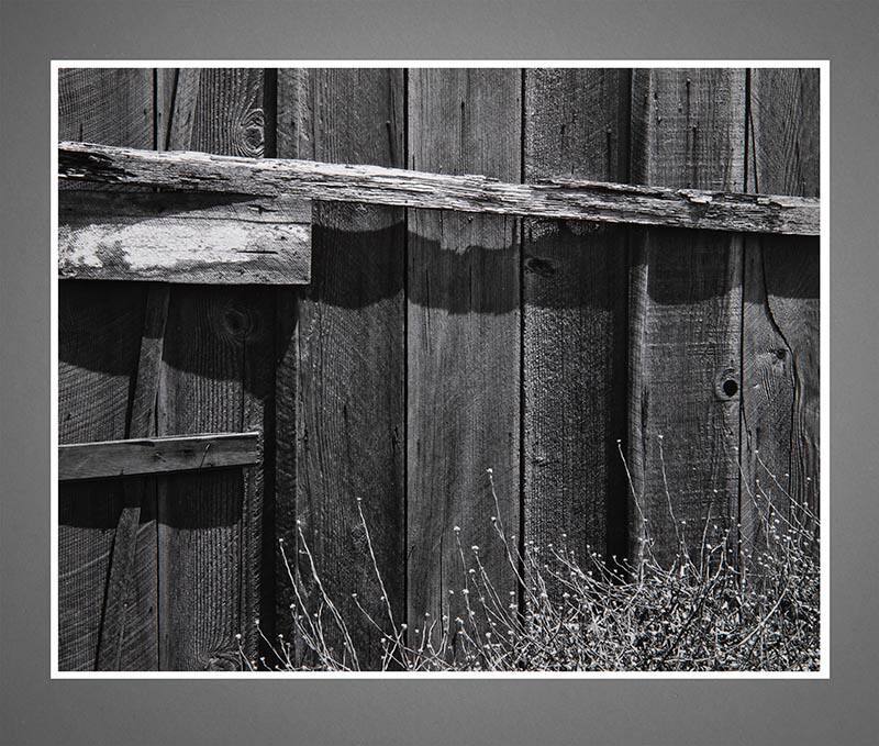 Fence - Hunter's Point I - San Francisco