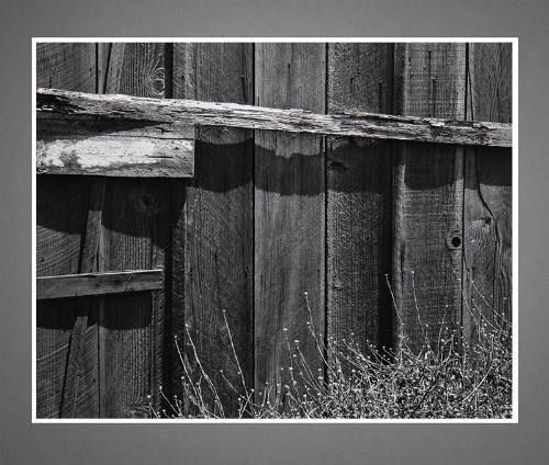 Fence - Hunter's Point I - San Francisco