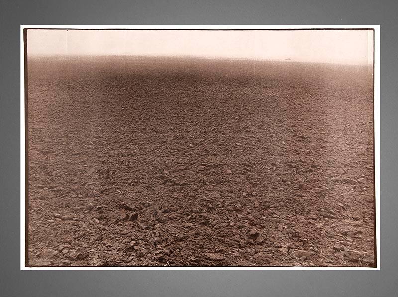 Untitled (Soil)