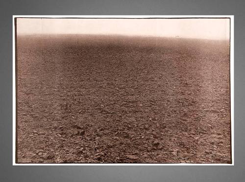 Untitled (Soil)