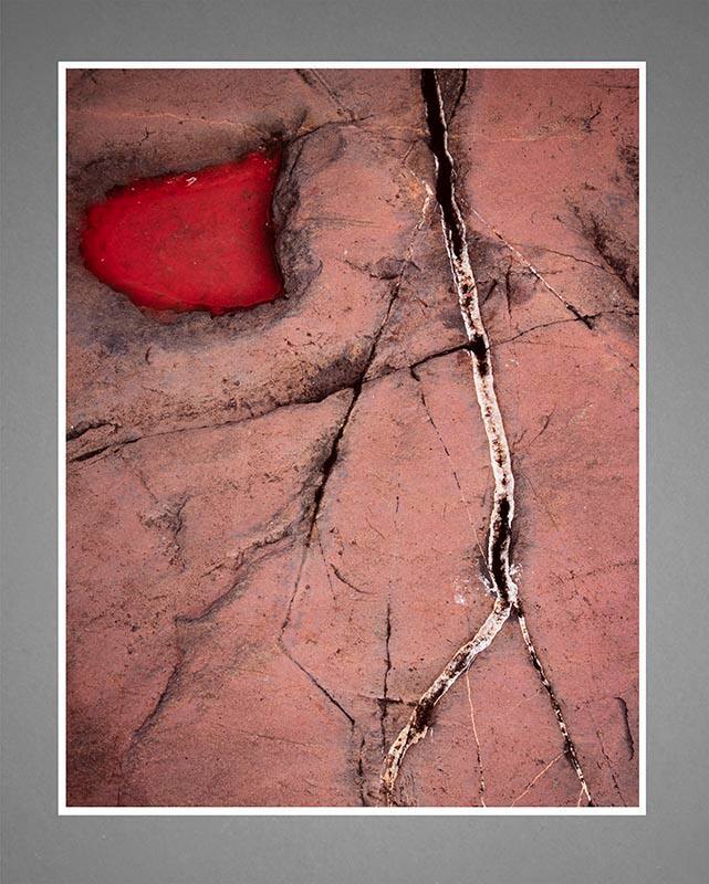 Puddle with Red Algae, Lake Superior