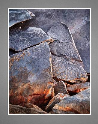 Mud Cracks in Sandstone, Pictured Rocks National Lakeshore