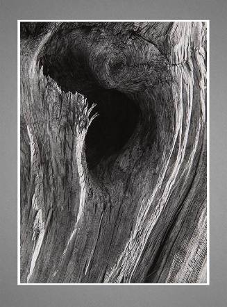 Gelatin silver print, detail shot of pinewood.
