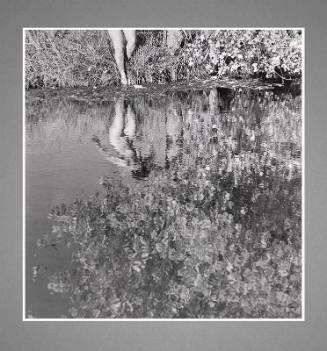 Gelatin silver print- Reflections No. 3