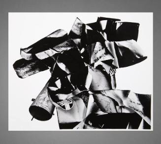 Silver gelatin print photographic collage 