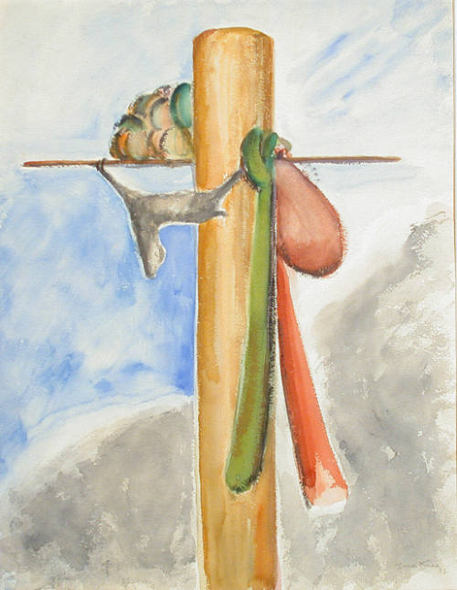 Taos - Pole Climbing