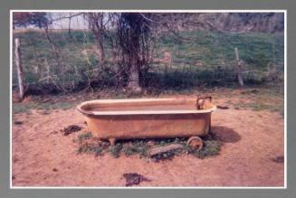 Chromogenic print by William Christenberry, "Bathtub as Watering Trough, near Greensboro, Alaba…