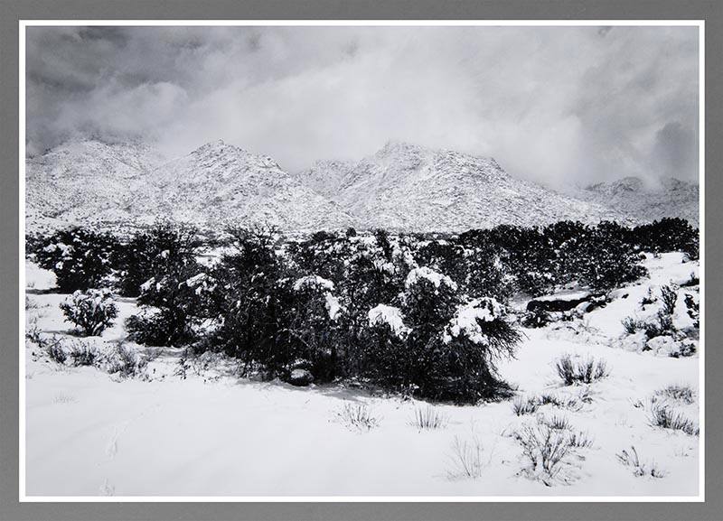 Snow, Sandia Foothills, New Mexico