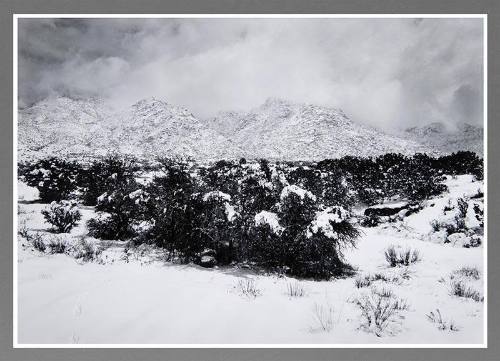 Snow, Sandia Foothills, New Mexico