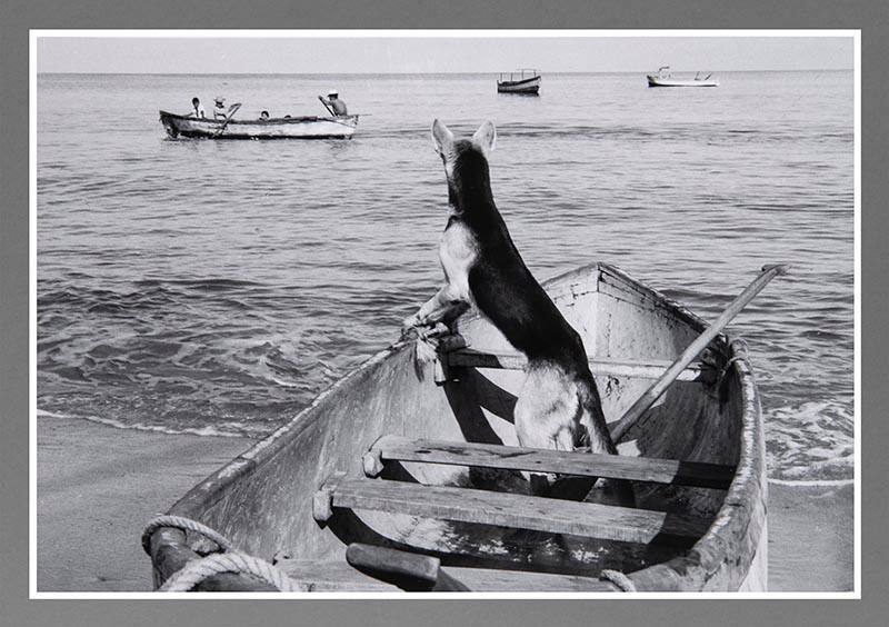 Untitled, Puerto Vallarta